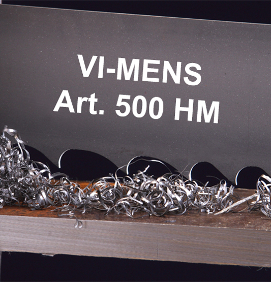 VI-MENS art. 500 HM
